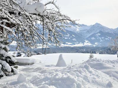 Alphirt Ferienwohnungen Fischen im Allgaeu Extérieur photo